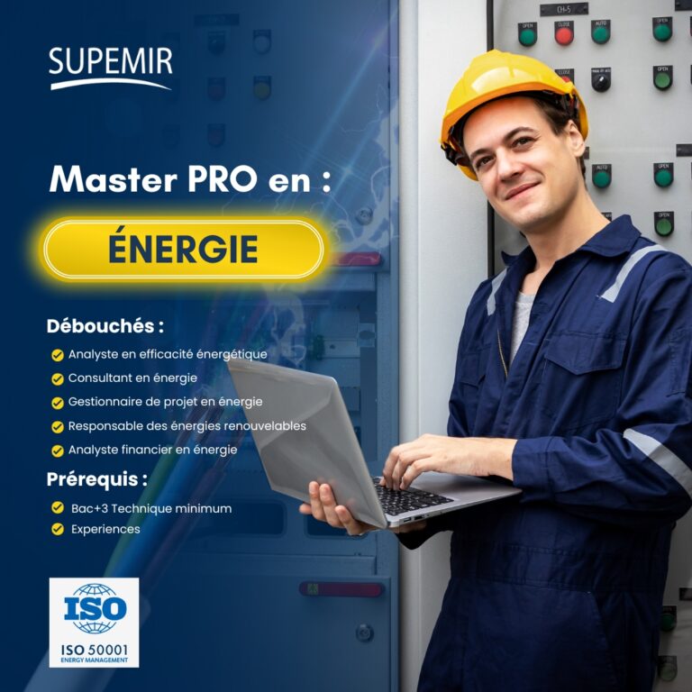 Master PRO en Enérgie